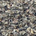 Mill & More Elenmiş Yıkanmış Yerli Karabuğday Kabuğu 1000 G