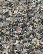 Mill & More Elenmiş Yıkanmış Yerli Karabuğday Kabuğu 1000 G